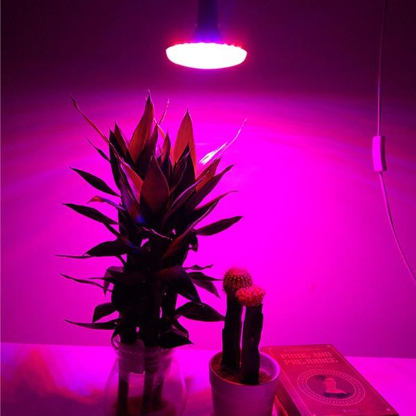 grow lights phytolamp for plants led light full spectrum 15w e27 lamp flowers hydroponics indoor 220v 110v
grow lights phytolamp for plants led light full spectrum 15w e27 lamp flowers hydroponics indoor 220v 110v