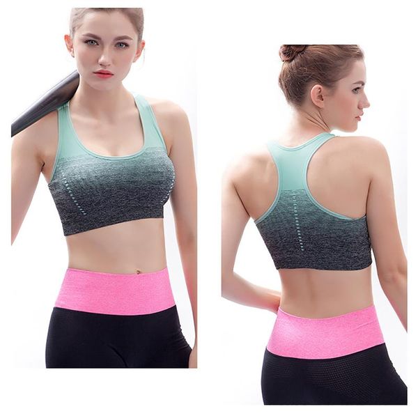 gradient high stretch sports bra for women,quick dry padded hback seamless yoga running fitness sport gym clothing, White;black
gradient high stretch sports bra for women,quick dry padded hback seamless yoga running fitness sport gym clothing, White;black