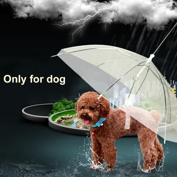 dog apparel transparent pe pet umbrella small rain gear with leads keeps dry comfortable in snowing #734
dog apparel transparent pe pet umbrella small rain gear with leads keeps dry comfortable in snowing #734