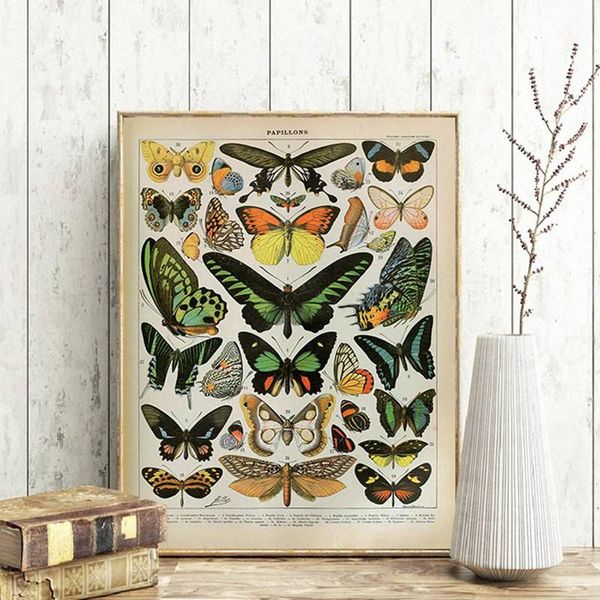paintings palaeobios plant retro poster flower animal insect butterfly mushrooms canvas painting wall art oil home decor
paintings palaeobios plant retro poster flower animal insect butterfly mushrooms canvas painting wall art oil home decor