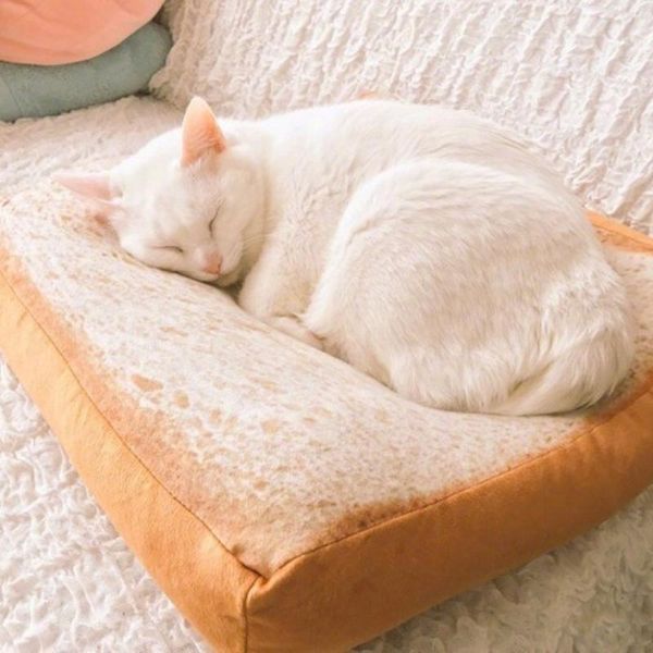 cat beds & furniture design bread mat toast bed soft fleece puppy cushion detachable wash small dog for chihuahua 38*38*6.5cm
cat beds & furniture design bread mat toast bed soft fleece puppy cushion detachable wash small dog for chihuahua 38*38*6.5cm