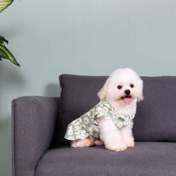dog skirt little daisy net red the same spring and summer cat bomei puppy bear pet dress
dog skirt little daisy net red the same spring and summer cat bomei puppy bear pet dress