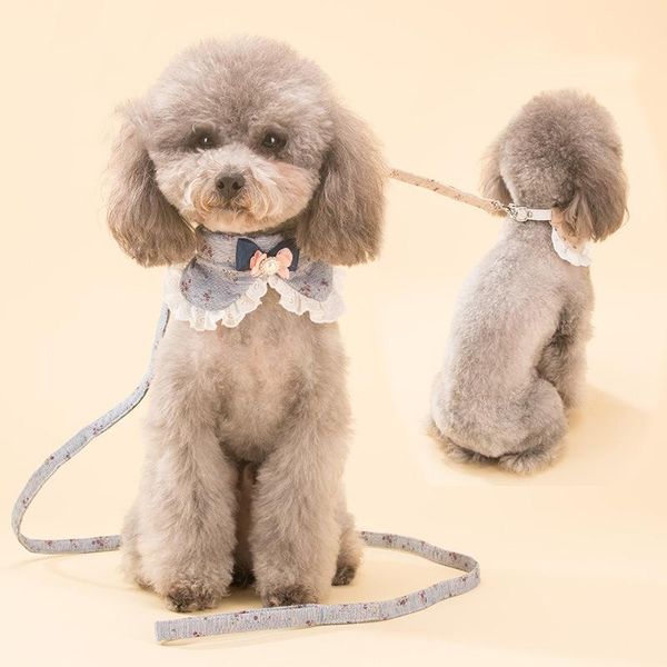 dog traction rope, chain, lovely flower with bow tie teddy pet collar collars & leashes
dog traction rope, chain, lovely flower with bow tie teddy pet collar collars & leashes