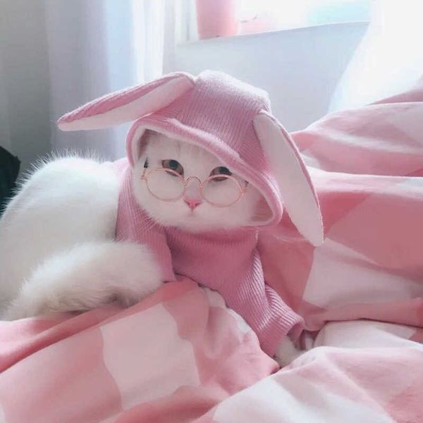 cute pet dog cat retro fashion sunglasses glasses transparent eye wear cosplay glasses pet ps props pet supplies drop ship
cute pet dog cat retro fashion sunglasses glasses transparent eye wear cosplay glasses pet ps props pet supplies drop ship