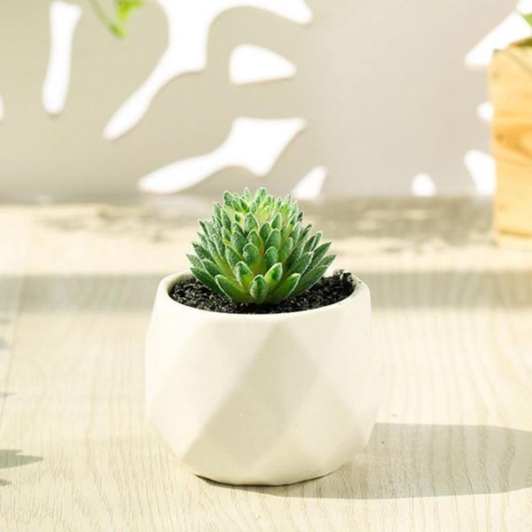 decorative flowers & wreaths artificial potted lightweight mini succulent with flowerpot perfect deskdecoration plant bonsai
decorative flowers & wreaths artificial potted lightweight mini succulent with flowerpot perfect deskdecoration plant bonsai