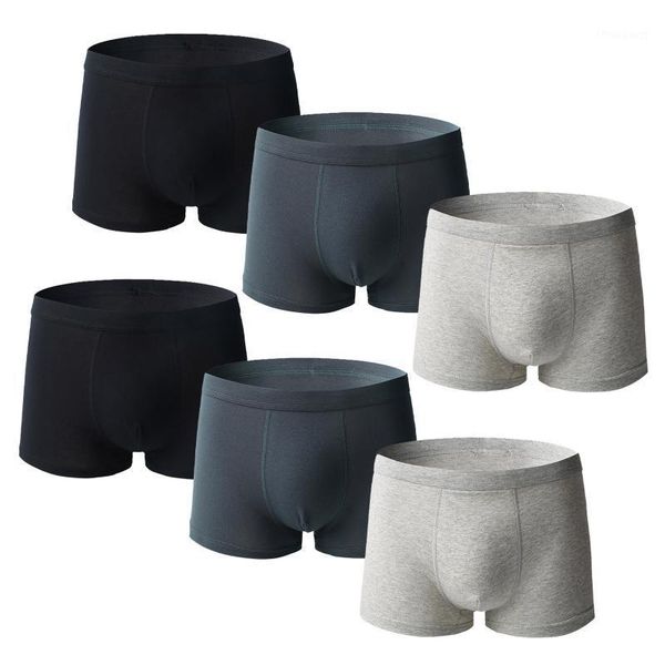 underpants 6pcs boxer mens simple and safe large plus size 6xl underwear men cotton male pure panties shorts, Black;white
underpants 6pcs boxer mens simple and safe large plus size 6xl underwear men cotton male pure panties shorts, Black;white