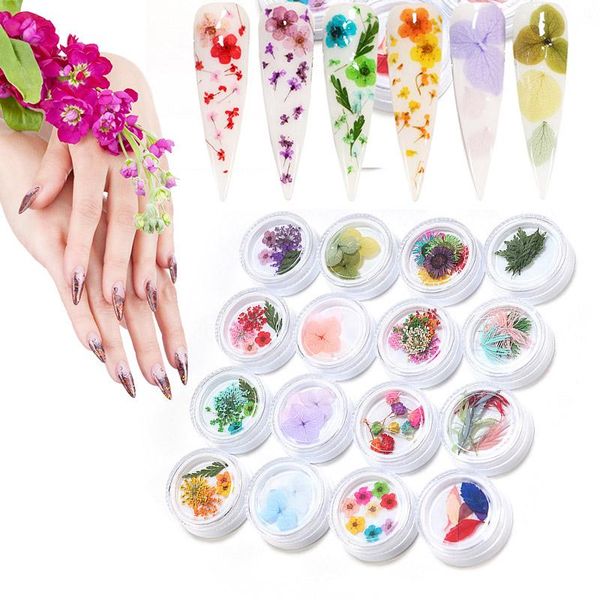 decorative flowers & wreaths dried flower nail art manicure decor diy stickers glitter sticker decoration supplies ornament yu-home
decorative flowers & wreaths dried flower nail art manicure decor diy stickers glitter sticker decoration supplies ornament yu-home