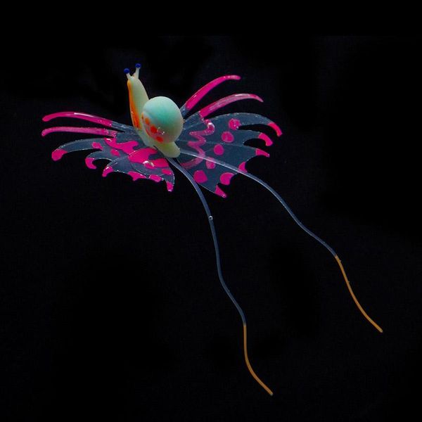 decorations mini luminous glow artificial aquarium fish made of ornaments silicone simulation snail blue for tank decoration
decorations mini luminous glow artificial aquarium fish made of ornaments silicone simulation snail blue for tank decoration