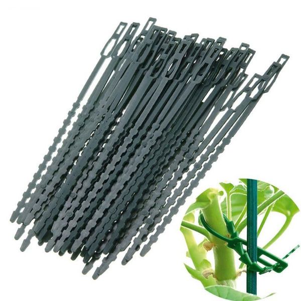 50pcs/lot adjustable plastic plant cable ties greenhouse grow kits for garden tree climbing support other supplies
50pcs/lot adjustable plastic plant cable ties greenhouse grow kits for garden tree climbing support other supplies