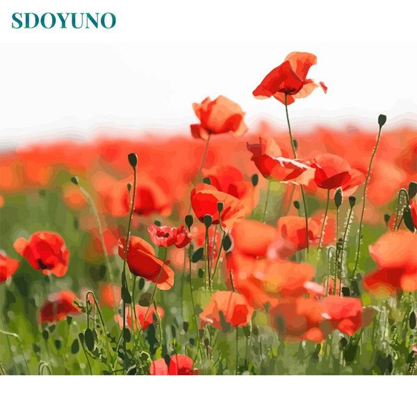 paintings sdoyuno 60x75cm diy painting by numbers red flowers canvas wall pictures for living room frameless home decor
paintings sdoyuno 60x75cm diy painting by numbers red flowers canvas wall pictures for living room frameless home decor