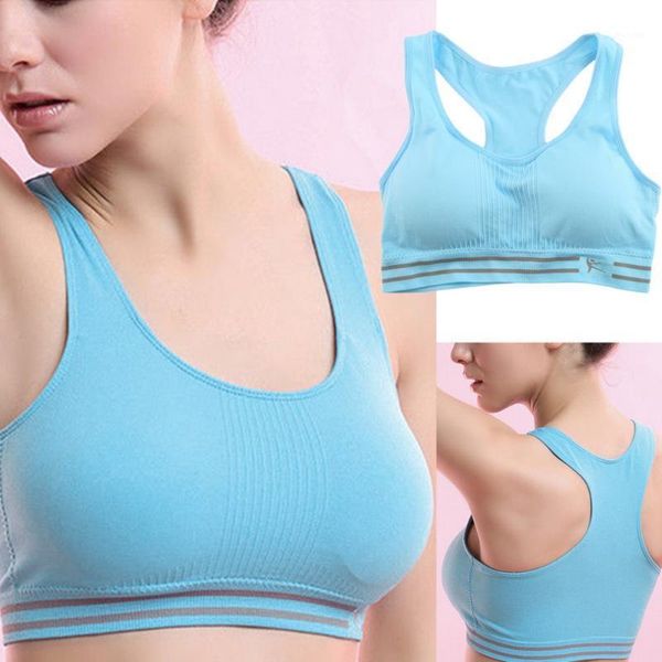 stylish gym fitness sports bra cotton push up athletic stretch vest without rims breathable full cup padded bras plus size yoga outfit
stylish gym fitness sports bra cotton push up athletic stretch vest without rims breathable full cup padded bras plus size yoga outfit