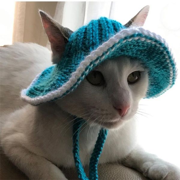 cat costumes pet hats wear cute color big headgear pomeranian bow decoration kitten hair accessories teddy dog funny chrismas pography
cat costumes pet hats wear cute color big headgear pomeranian bow decoration kitten hair accessories teddy dog funny chrismas pography