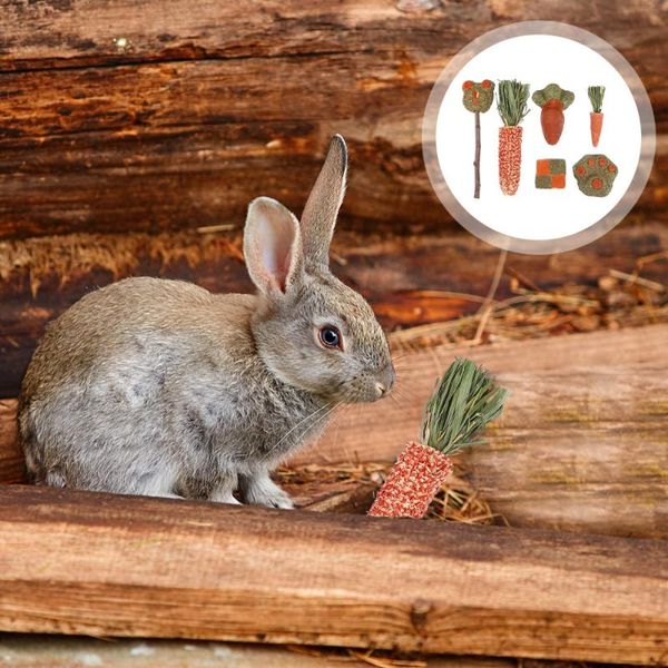 small animal supplies 6pcs chewing teething grass cakes treats molar for
small animal supplies 6pcs chewing teething grass cakes treats molar for