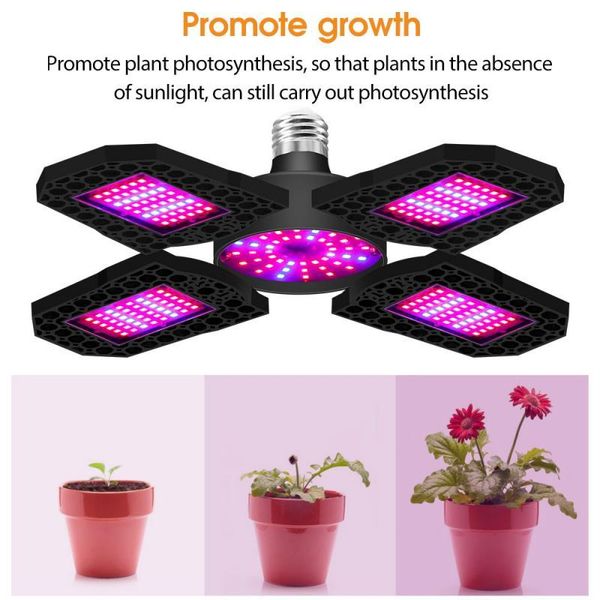 folding led plant light indoor red and blue spectrum succulent 100w/120w/150w foldable grow full e27 lights
folding led plant light indoor red and blue spectrum succulent 100w/120w/150w foldable grow full e27 lights