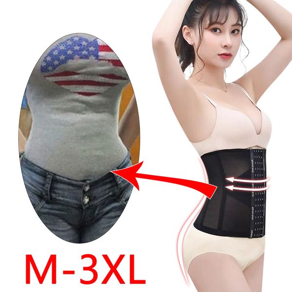 women waist cinchers ladies corset shaper band body building front buckle threee breasted dropship shaper belt, Black;white
women waist cinchers ladies corset shaper band body building front buckle threee breasted dropship shaper belt, Black;white