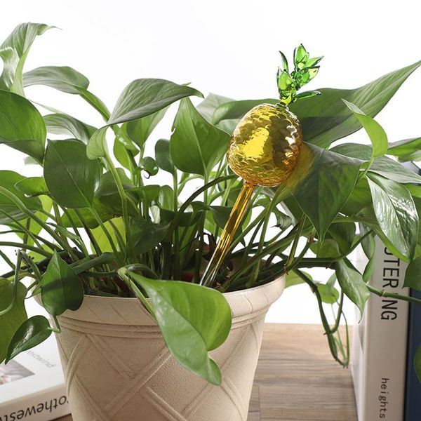 watering equipments self bulb stake clear pineapple glass plant for indoor outdoor bulbs
watering equipments self bulb stake clear pineapple glass plant for indoor outdoor bulbs