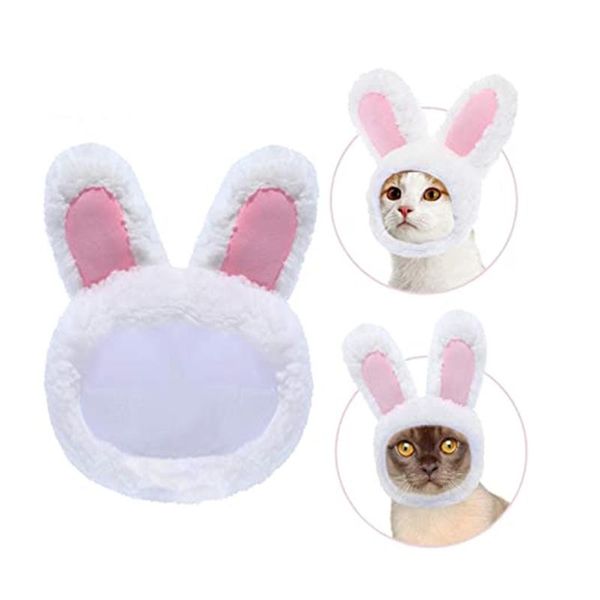 cute costume hat with ears for cats & small dogs, party accessory headwear, pet headband cat costumes
cute costume hat with ears for cats & small dogs, party accessory headwear, pet headband cat costumes