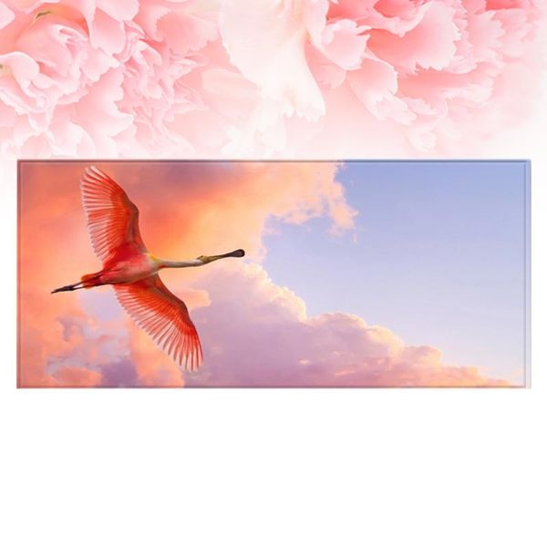 1pc 60x40cm rectangle doormat flying birds printed carpet anti-slip hallway kitchen mat carpets
1pc 60x40cm rectangle doormat flying birds printed carpet anti-slip hallway kitchen mat carpets