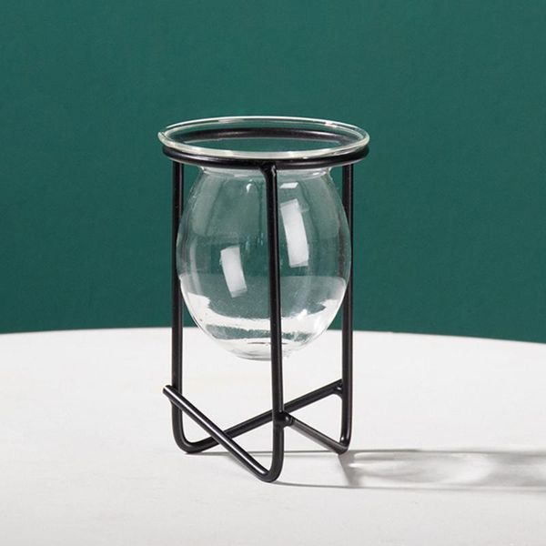 with metal frame test tube vase hydroponic plant glass pot kitchen home office table decor flowerpot vases
with metal frame test tube vase hydroponic plant glass pot kitchen home office table decor flowerpot vases
