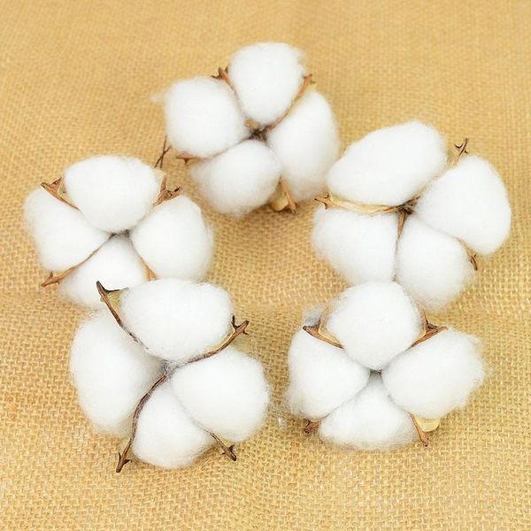 5/10pcs white cotton flowers decorative dried floral diy flower wreath christmas garland accessories for home wedding decoration & wreaths
5/10pcs white cotton flowers decorative dried floral diy flower wreath christmas garland accessories for home wedding decoration & wreaths