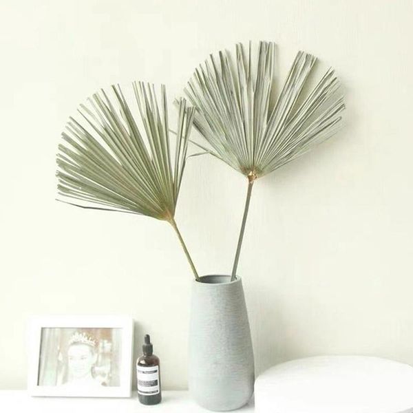 decorative flowers & wreaths palm fan leaf dried flower window reception party art wall hanging decoration wedding arch arrangement
decorative flowers & wreaths palm fan leaf dried flower window reception party art wall hanging decoration wedding arch arrangement