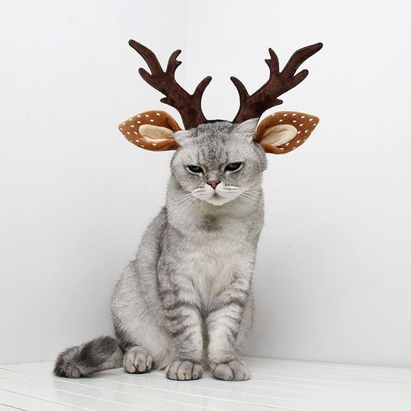 cat costumes pet christmas antlers headband, reindeer headwear adjustable elk hat hair hoop
cat costumes pet christmas antlers headband, reindeer headwear adjustable elk hat hair hoop