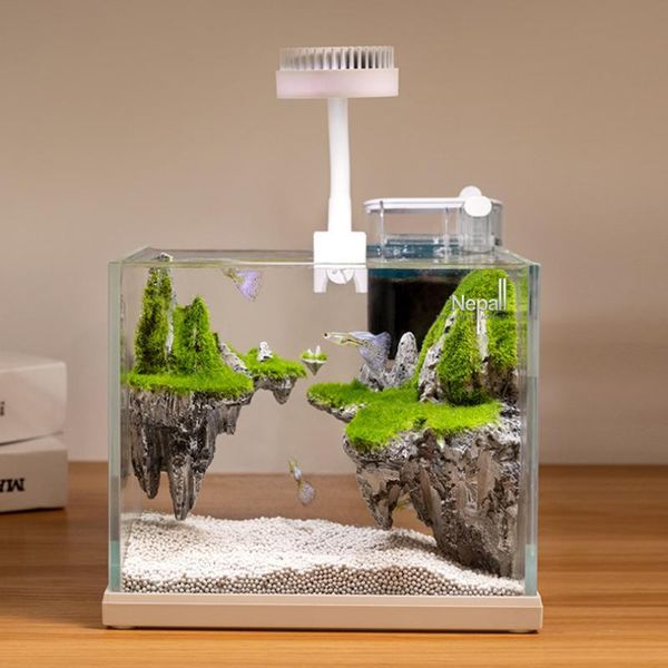 aquariums fish glass tank aquaponics ecosystem small water garden ecological aquarium transparent terrarium bowl acuario bonsai
aquariums fish glass tank aquaponics ecosystem small water garden ecological aquarium transparent terrarium bowl acuario bonsai