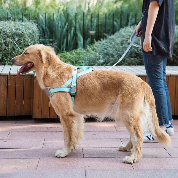 dog collars & leashes chest strap collar walking rope samoyed golden retriever chain large pet products accessories
dog collars & leashes chest strap collar walking rope samoyed golden retriever chain large pet products accessories