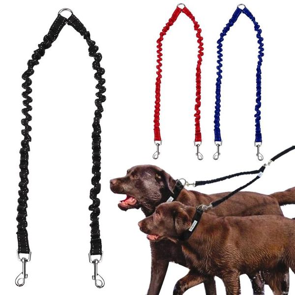 dog collars & leashes double leash elastic bungee pet coupler walking training leashs for 2 twin reflective dogs splitter accessories
dog collars & leashes double leash elastic bungee pet coupler walking training leashs for 2 twin reflective dogs splitter accessories