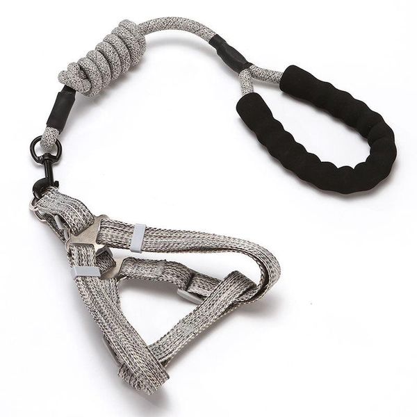four seasons available simple fashion morandi pet hand holding rope dog chain foam handle haulage package harness collars & leashes
four seasons available simple fashion morandi pet hand holding rope dog chain foam handle haulage package harness collars & leashes
