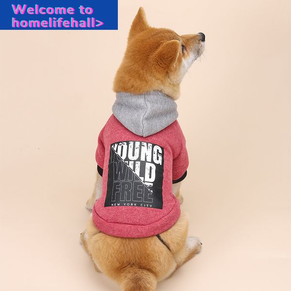clothing clothes hooded supplies clothing autumn and winter plush letter printed small medium-sized dog personality trend clothes
clothing clothes hooded supplies clothing autumn and winter plush letter printed small medium-sized dog personality trend clothes