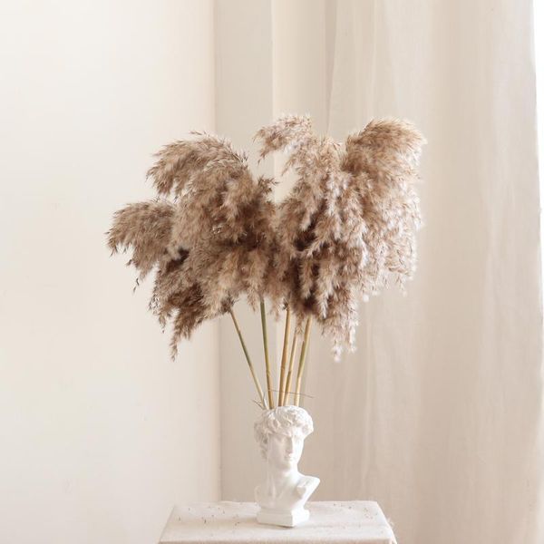 decorative flowers & wreaths wedding use pampas bunch 100% natural plants christmas decor dried flower bouquet for home decoration 2021 arri
decorative flowers & wreaths wedding use pampas bunch 100% natural plants christmas decor dried flower bouquet for home decoration 2021 arri