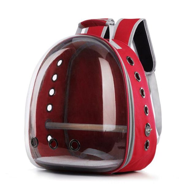 backpack pet parrot carrier bird travel bag space transparent breathable 360° sightseeing
backpack pet parrot carrier bird travel bag space transparent breathable 360° sightseeing