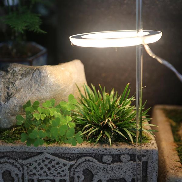 grow lights led light full spectrum phyto lamp usb phytolamp for plants 5v growth lighting indoor plant
grow lights led light full spectrum phyto lamp usb phytolamp for plants 5v growth lighting indoor plant
