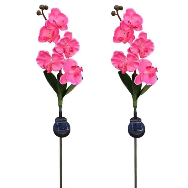 lawn lamps year holiday decoration 5 head solar led decorative outdoor lamp of butterfly orchiddiscount
lawn lamps year holiday decoration 5 head solar led decorative outdoor lamp of butterfly orchiddiscount