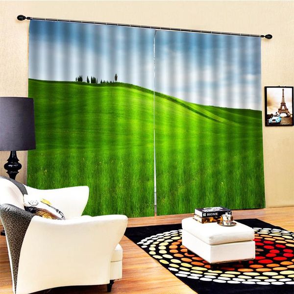 curtain & drapes beautiful po fashion customized 3d curtains green grass window for living room
curtain & drapes beautiful po fashion customized 3d curtains green grass window for living room