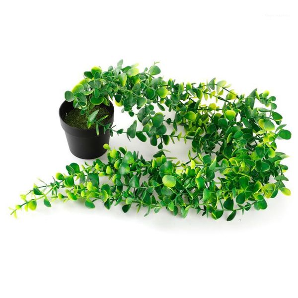 hanging eucalyptus fake plants artificial vine wedding plastic decorations wall accessories potted faux greenery vines decorative flowers &1
hanging eucalyptus fake plants artificial vine wedding plastic decorations wall accessories potted faux greenery vines decorative flowers &1