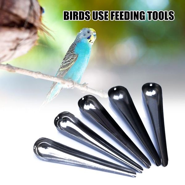 other bird supplies birds spoon stainless steel suitable for starlings mynahs thrushes cages _wk
other bird supplies birds spoon stainless steel suitable for starlings mynahs thrushes cages _wk