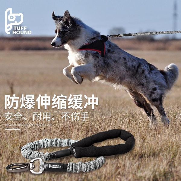dog collars & leashes pet products leash for small large dogs reflective rope pets lead dog-collar harness nylon running
dog collars & leashes pet products leash for small large dogs reflective rope pets lead dog-collar harness nylon running
