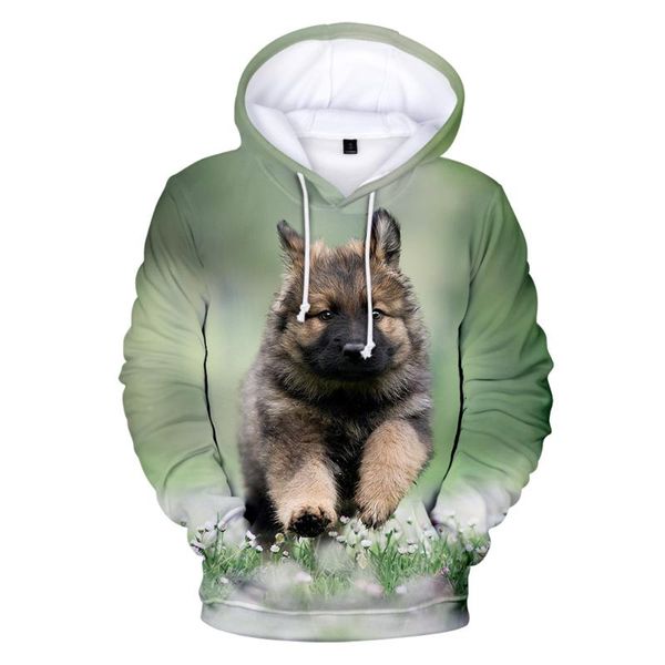 men's hoodies & sweatshirts german shepherd 3d full print women/men long sleeve sweatshirt trendy streetwear coats, Black
men's hoodies & sweatshirts german shepherd 3d full print women/men long sleeve sweatshirt trendy streetwear coats, Black