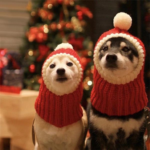 pet hats winter christmas dog cat cap funny holiday costume puppy santa red hat with ball headwear for small medium large dogs apparel
pet hats winter christmas dog cat cap funny holiday costume puppy santa red hat with ball headwear for small medium large dogs apparel