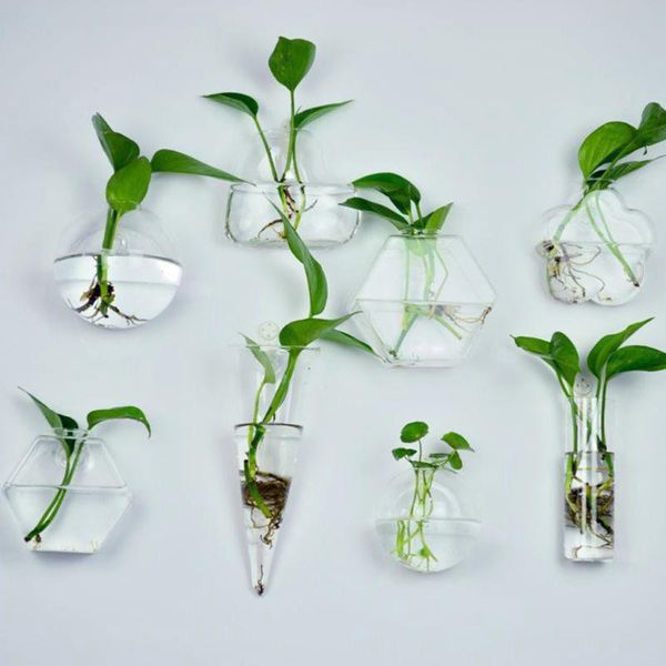 vases 6 shapes diy wedding home decoration ornament clear hanging glass vase flower plants terrarium container
vases 6 shapes diy wedding home decoration ornament clear hanging glass vase flower plants terrarium container