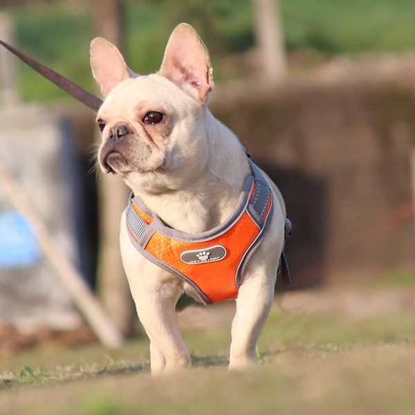 dog collars & leashes pet traction vest mesh breathable breast strap reflective rope durable and comfortable ts3
dog collars & leashes pet traction vest mesh breathable breast strap reflective rope durable and comfortable ts3