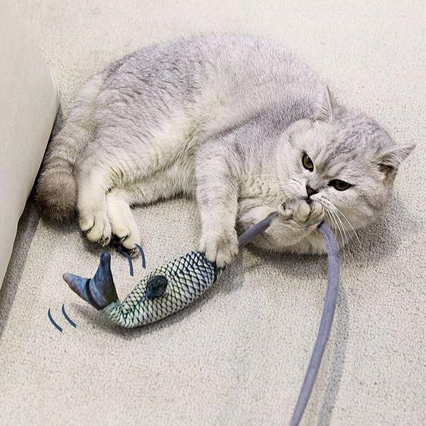 cat toys kitten toy creative feather funny tail artifact simulation fish kitty interactive plush
cat toys kitten toy creative feather funny tail artifact simulation fish kitty interactive plush