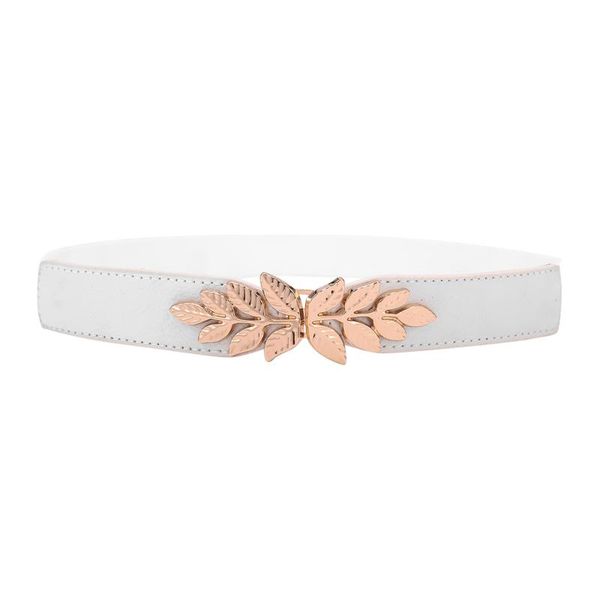 belts elelgant dress belt women's metal leaf buckle elastic narrow stretch creative design elegant accessory, Black;brown
belts elelgant dress belt women's metal leaf buckle elastic narrow stretch creative design elegant accessory, Black;brown