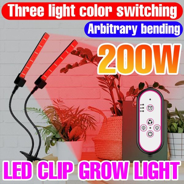 grow lights led plant phytolamp for lamp full spectrum 12v lampara hydroponic bombilla greenhouse growth tent bulb
grow lights led plant phytolamp for lamp full spectrum 12v lampara hydroponic bombilla greenhouse growth tent bulb