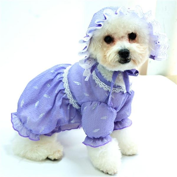outdoor dog shirt with hat summer pet clothing cat puppy costumes yorkshire pomeranian maltese poodle bichon schnauzer clothes apparel
outdoor dog shirt with hat summer pet clothing cat puppy costumes yorkshire pomeranian maltese poodle bichon schnauzer clothes apparel
