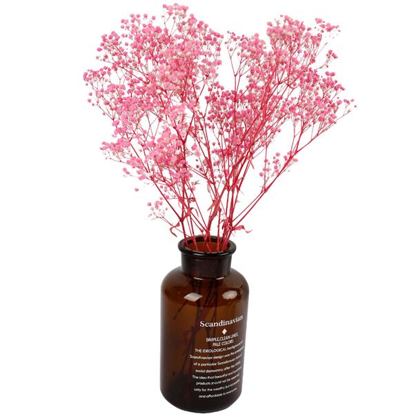 100g natura dried fowers baby breathing fower gypsophia rea pants wedding decor home fower arrangement
100g natura dried fowers baby breathing fower gypsophia rea pants wedding decor home fower arrangement