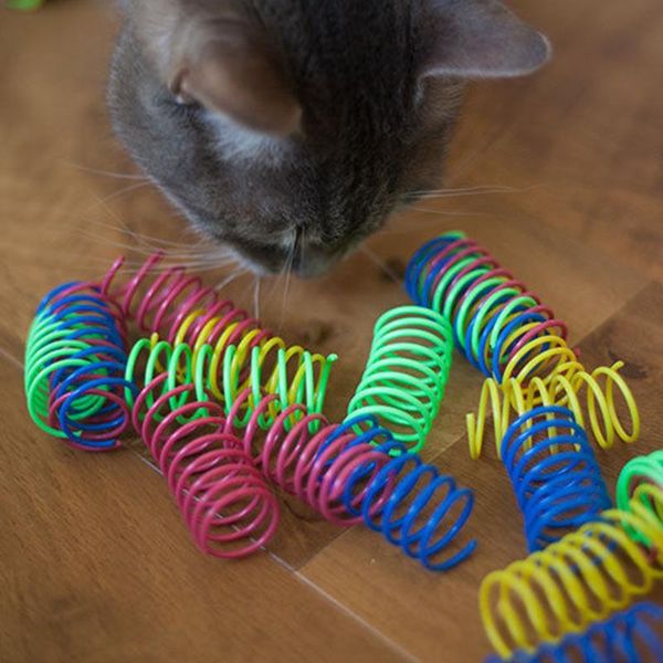 cat toys toy playing 10pcs pet wide durable heavy gauge plastic colorful springs
cat toys toy playing 10pcs pet wide durable heavy gauge plastic colorful springs