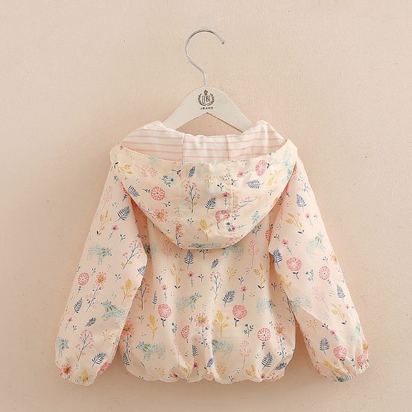2021 Fashion Autumn Spring 2 3 4-12 Years Long Sleeve Outwear Cartoon Flower Print Sweet Thin Hooded Jacket For Baby Kids Girls, Pink
2021 Fashion Autumn Spring 2 3 4-12 Years Long Sleeve Outwear Cartoon Flower Print Sweet Thin Hooded Jacket For Baby Kids Girls, Pink